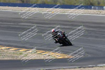 media/Apr-14-2024-SoCal Trackdays (Sun) [[70f97d3d4f]]/5-Bowl Exit (1020am)/